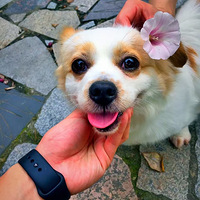 �ҵĶ�䣬11���������