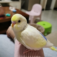ճ�˵����ӣ��������Ķ�������