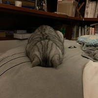 ���쵽�ˣ��ֵ�������ļ����ˣ���