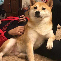 ���Ӵ�ү