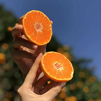 ó԰³ȣֵˮԲһݰʡ11Ŵ