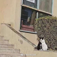 �����칤�̴�ѧ��è���ж����ˡ���