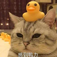 ļʳͲڳ