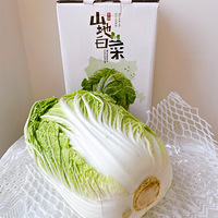 βݡ40Ԫһŵɽײ
