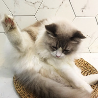 ߣ��ߣ����С�ɰ�����һ���Ķ����ڻ��ˣ�̫������