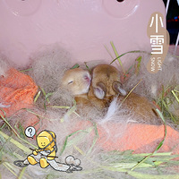 С���ӳ��úÿ�