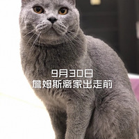 һֻè�Ĺ��£���ҳ���53�죬���������Ķ����ع��ͥ��