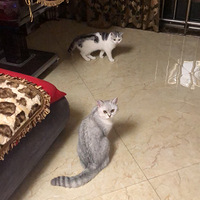 Ϊ�Ҽҵ�����С��Ů������