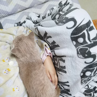 è������