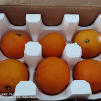 óԵˮĸû