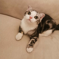��˾���ӷ����ˣ��Ҷ�ϱ����