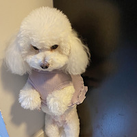 ���첻�����Եģ���һ���ҼҵĹ�����