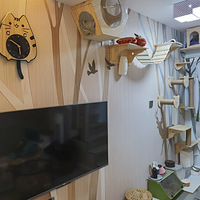 ��˵��������в������˺ö���װС��2020-4���ϼ���Ҵ���