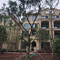 ���쿪������������������ǰ�����깤����ȡ����12��ǰװ�����