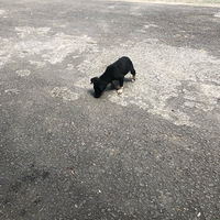 ��֪�����ڵ�������