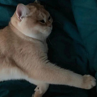 �������Ҽҵ���