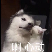 棬д1000+ʥƬ~