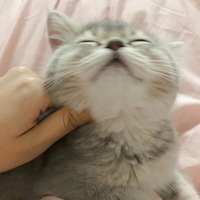 ��û��ͬ��ÿ������������ߣ��è���̣����������ϸ㲻Ӯѽ�㲻Ӯ