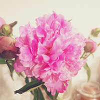 �뻨�ӵĴ����ع�