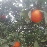 Աߵ1Сʱ͵ȴûʧ
