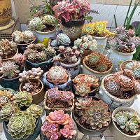 һ��һ���磬һ��һ��ϲ��2020����ɹ�������