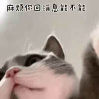 1230ֵСǺ336¹ᱡ޷99