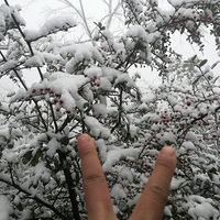 гǣϴΡĳǽ