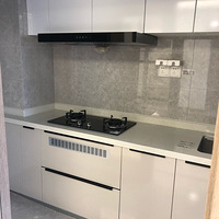 �������ź�Ҽ��ȼ�羫װ������