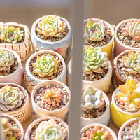 �������������⣬��Զ�������ӡ�2020����ɹ�������