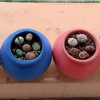 �ɰ���ƨƨ������ɹ�������