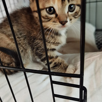 ������è�䶼�ҵ��������ˣ���лƽ̨