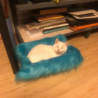 �ҵ�è����ر�󰡣�����ү