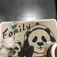 �ҵ�è�Ǿ��������������Ƥ��è��
