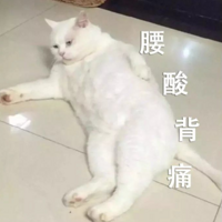 ﶬУζİspaŹˣ+ȫ㶨