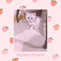 Ϊʲô���ϻ᳤Сè�䣿��Ҷ���˵˵���Լ������ӵ�Ե�ְɡ�