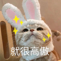 ѥӺϼ˭ʿ