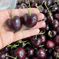 óԵĳ
