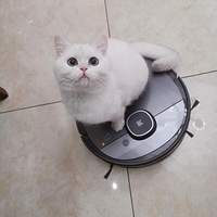 ����ɨ�ػ�������С�ɰ�