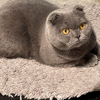 �ҼҺ���С�����ġ�ĸ���ס�