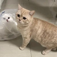 �ѵ�èè���������ϴ���