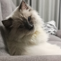 Խ��Խ�ʲ�