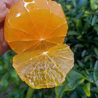 ڲ
