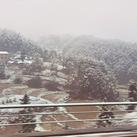 ˸ѻؼҹ꣡