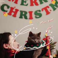 �Լ�����ë���ֹ������������ϼ�ֱ������
