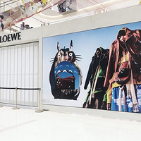 loeweҪèùԣ