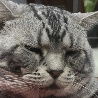 ������̵ܵ�Ѱϱ��