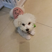 СС�ĳ����ҳ�����