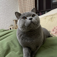 ����