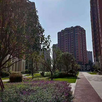 Ƚ��ȽС�ҳɳ��ǡ�2021����װ���ռǡ�