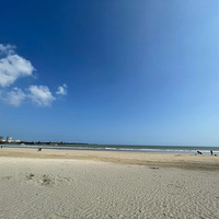 �����Ĳ�֮�á�2021�´��Ρ�